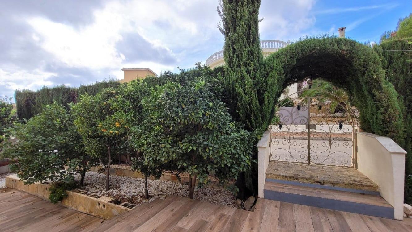 Villa Alexa *